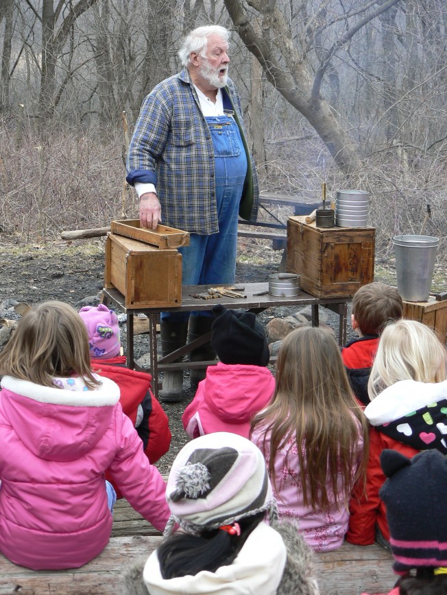 The old man and the maples