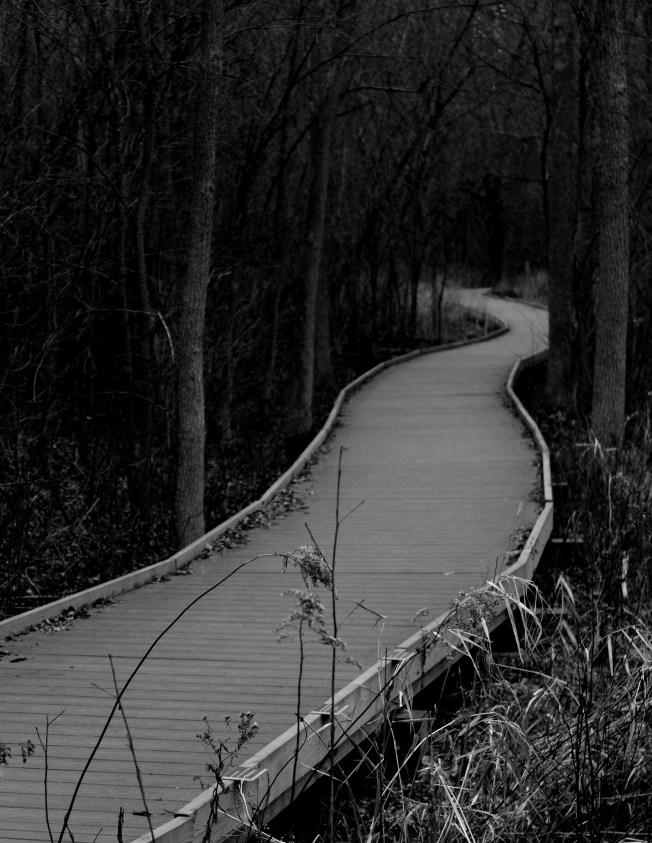 path to the dark side