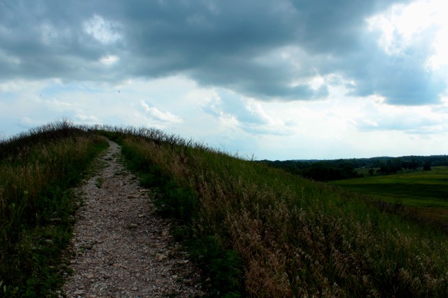 Landscape portrait II