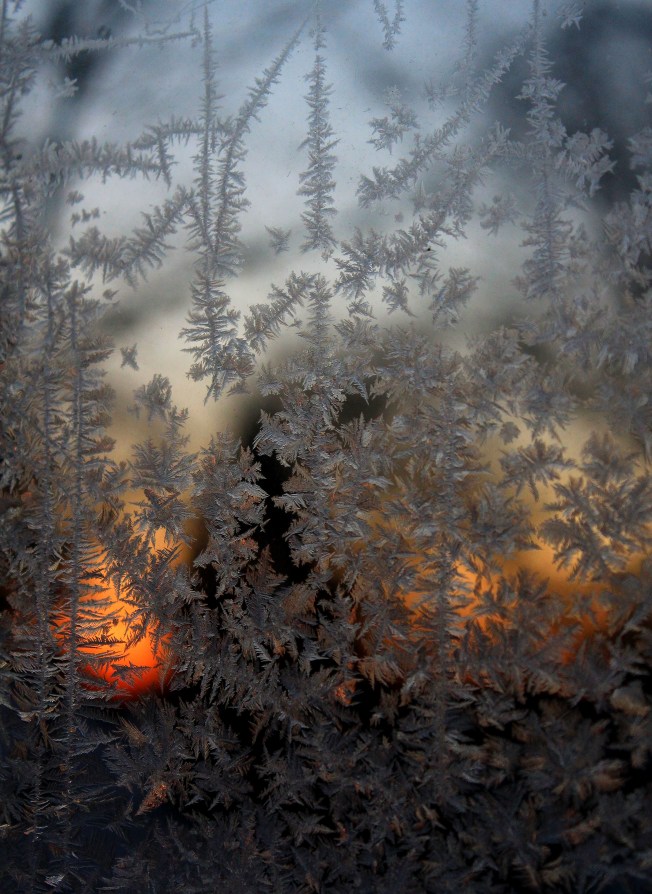 evening frost